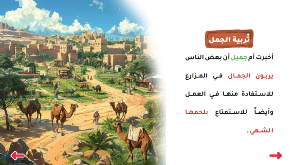 جميل وأسرار الصحراء - Image 3