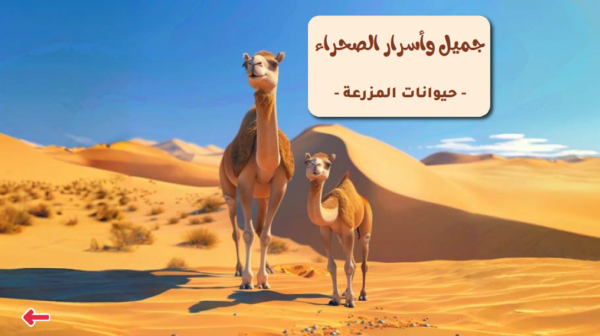 جميل وأسرار الصحراء