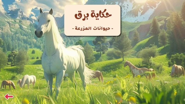 حكاية برق