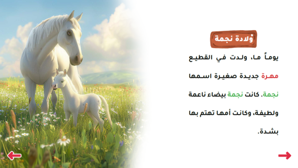 حكاية برق - Image 2