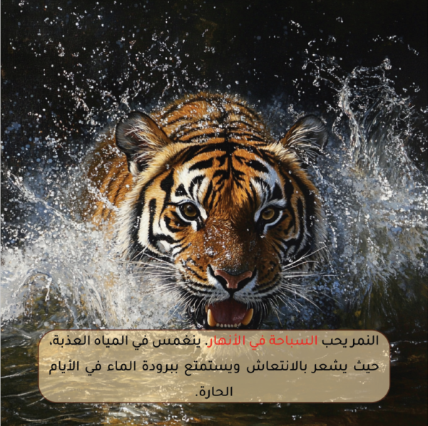 النمر الشجاع والخطوط السحرية - Image 2